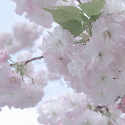 Furry原创作品欣赏福瑞交流群